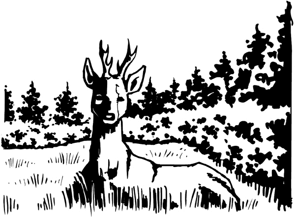 Deer in the meadow vinyl sticker. Customize on  line.      Animals Insects Fish 004-1377  